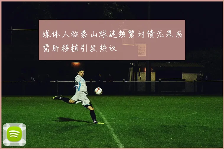 媒体人称泰山球迷频繁讨债无果或需肝移植引发热议