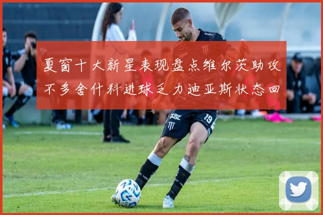 夏窗十大新星表现盘点维尔茨助攻不多舍什科进球乏力迪亚斯状态回暖