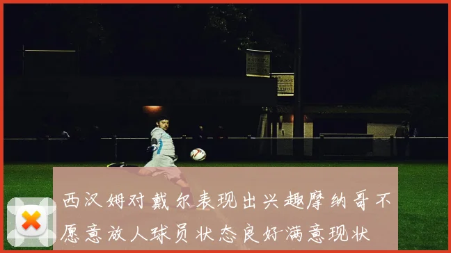 西汉姆对戴尔表现出兴趣摩纳哥不愿意放人球员状态良好满意现状