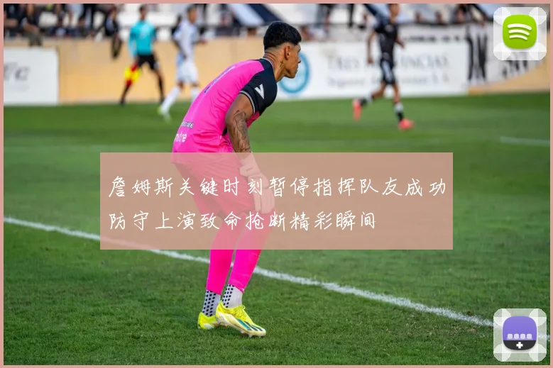 詹姆斯关键时刻暂停指挥队友成功防守上演致命抢断精彩瞬间