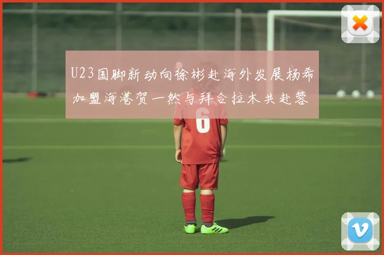 U23国脚新动向徐彬赴海外发展杨希加盟海港贺一然与拜合拉木共赴蓉城