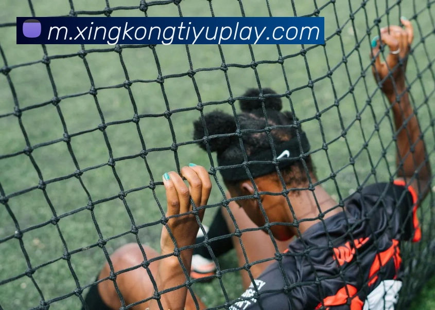 星空体育平台生态图