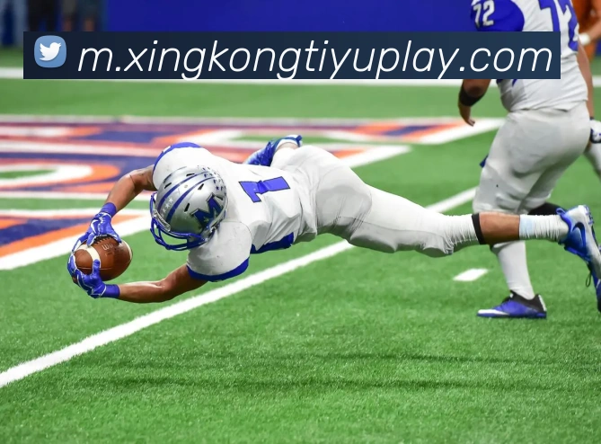 星空体育APP 封面图